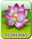 Diseño y Fabricacion de empaque para Florerias y Plantas Vivas