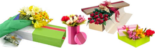 Diseño y Fabricacion de empaque para florerias y plantas vivas